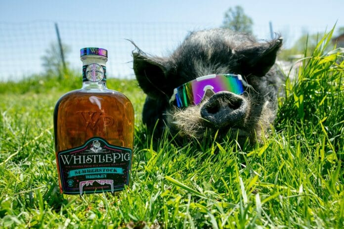 WhistlePig SummerStock Whiskey, Mascot Mortimer Jr in Glasses WhistlePig SummerStock Whiskey, Mascot Mortimer Jr in Glasses