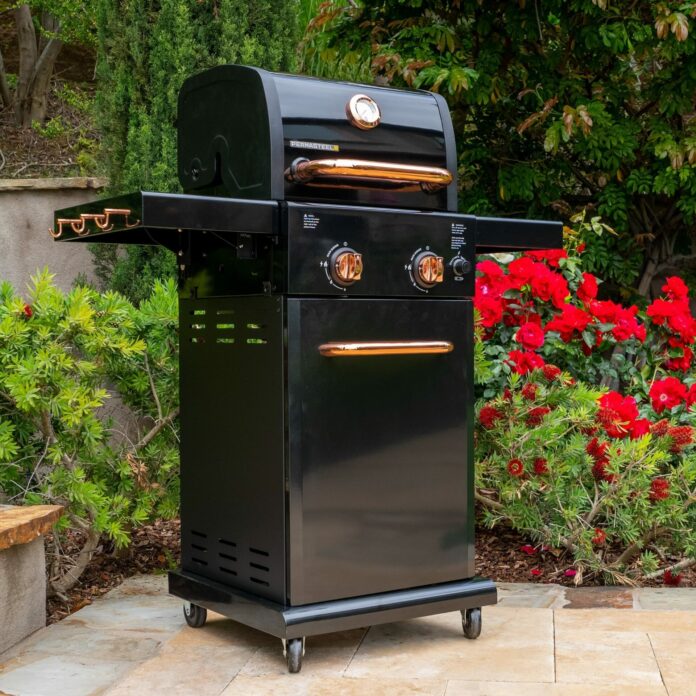 Permasteel 2-Burner Gas Grill