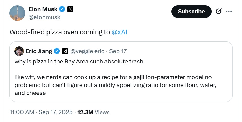 Elon Musk Pizza Oven Post